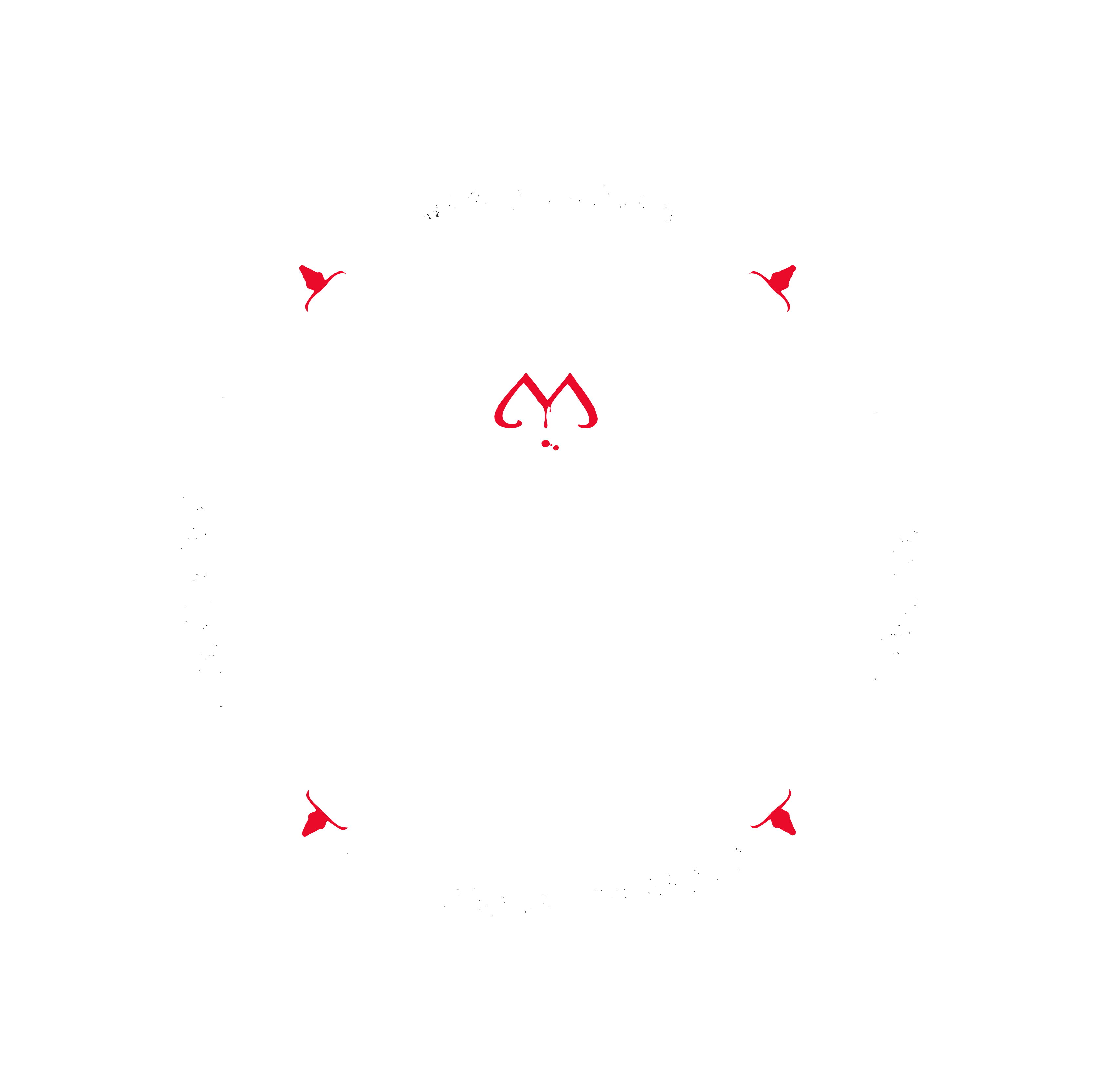 Mezcal Toro Muerto